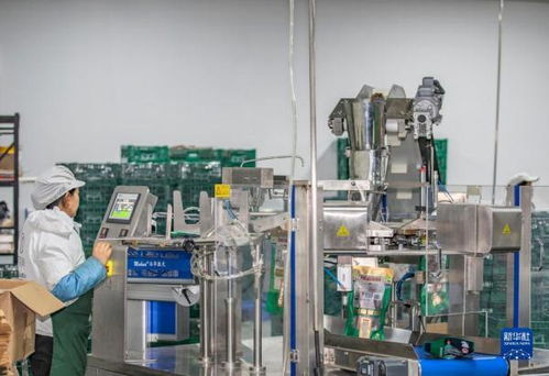 重慶城口 老臘肉 成鄉(xiāng)村特色致富 新產(chǎn)業(yè)